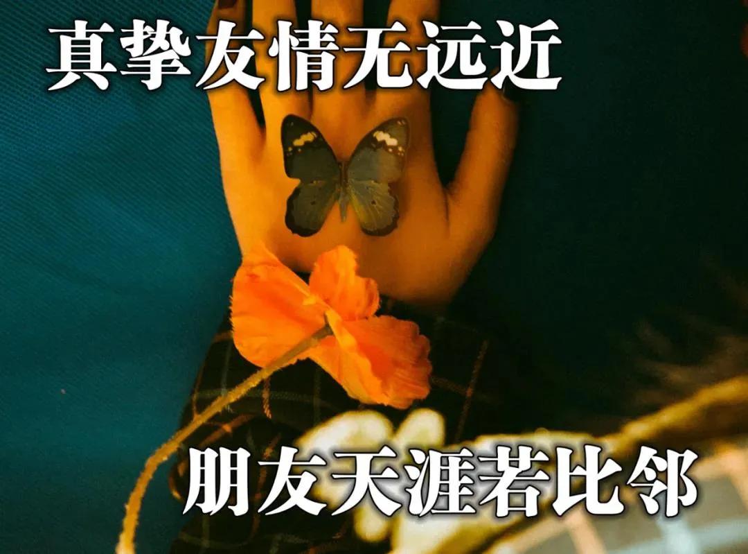 翌日系列恐怖游戏_翌日系列游戏_翌日系列