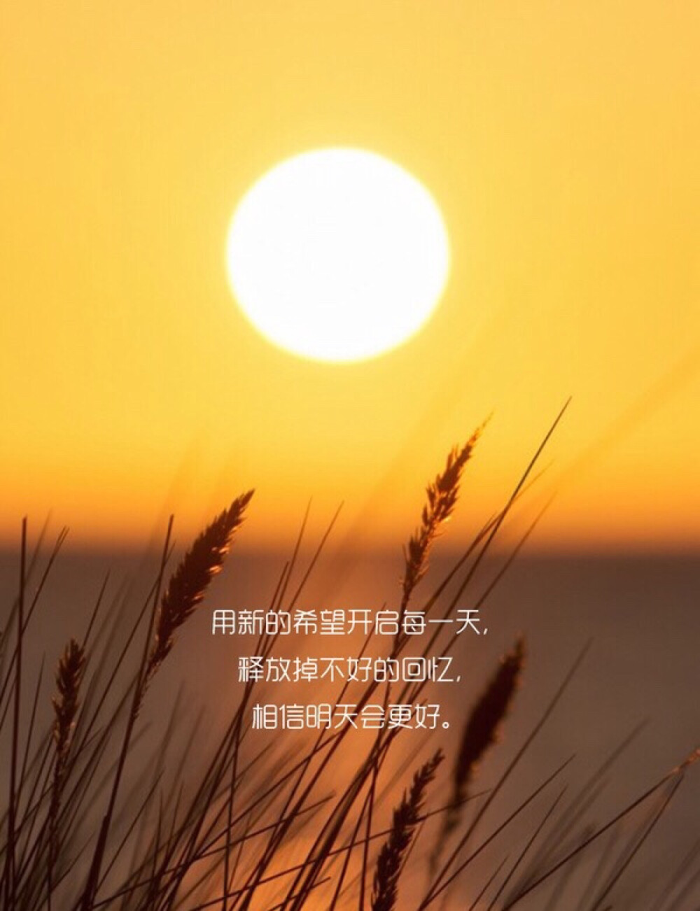 翌日系列恐怖游戏_翌日系列_翌日系列游戏