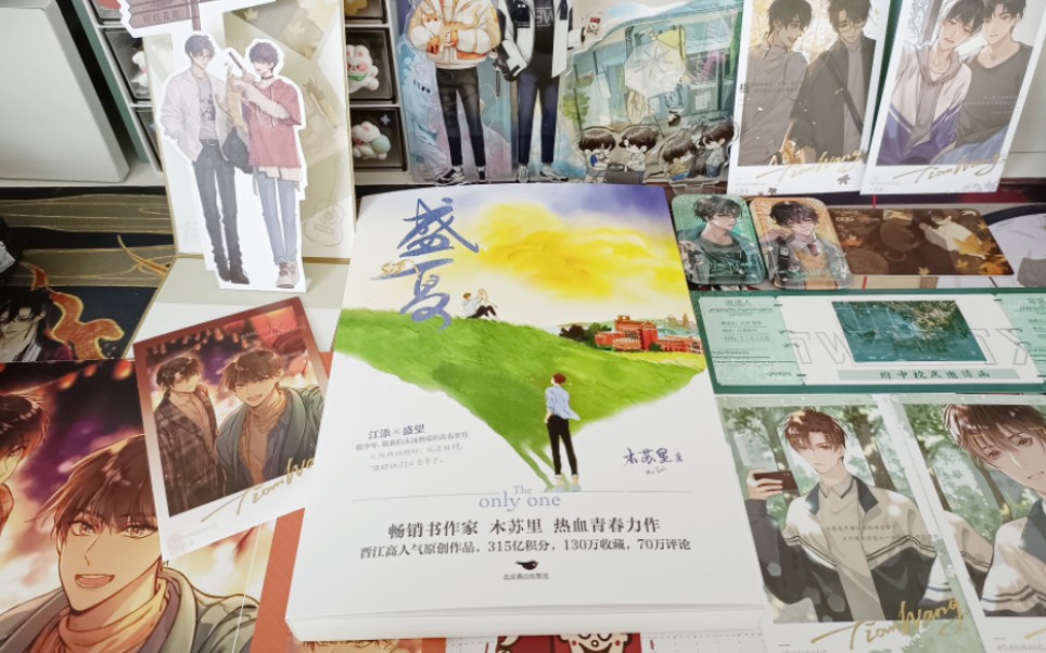 神澜奇域无双珠后面是什么_神澜奇域无双珠是什么类型的书_神澜奇域无双珠是原耽吗