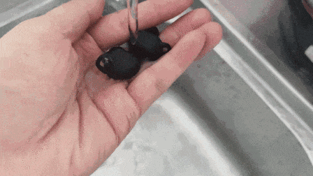 24小时里吴磊被掉起来的歌_梦见人掉井里淹死了_airpodspro掉水里怎么办