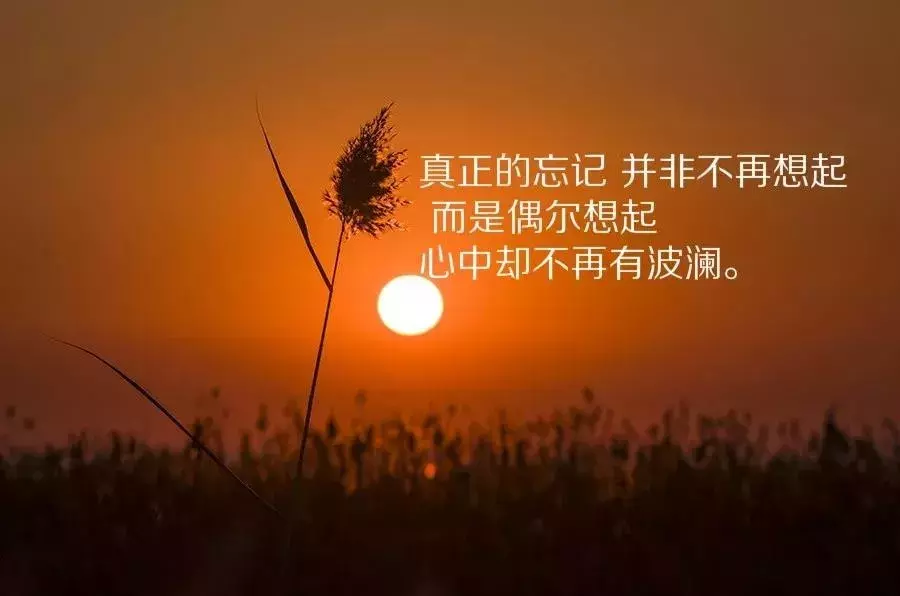 玩手机游戏对人有什么好处_不会玩手机游戏的说说句子_玩手机玩游戏的危害