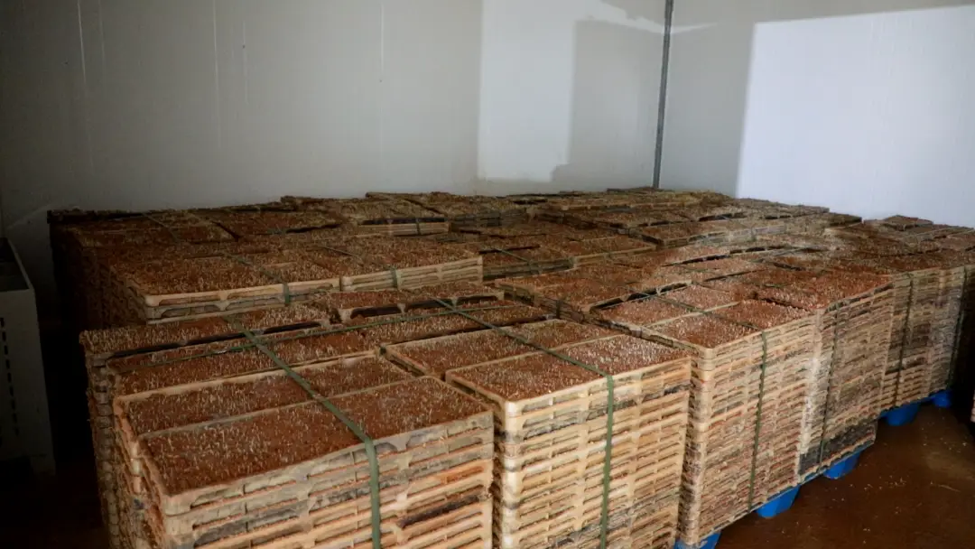 1322游戏盒手机版下载_手机纯白交响曲游戏在哪下载_暗室手机游戏下载