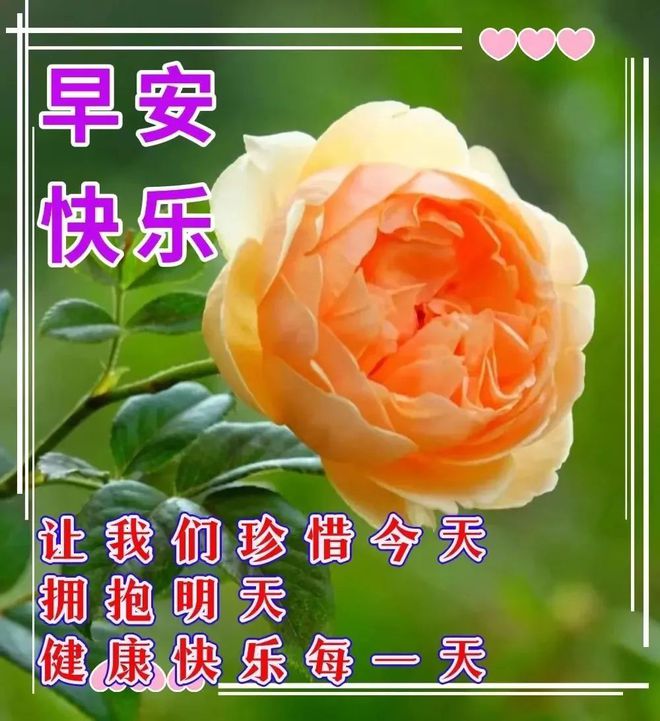 第六感生死缘_生死缘第六感电影_生死缘第六感女主角