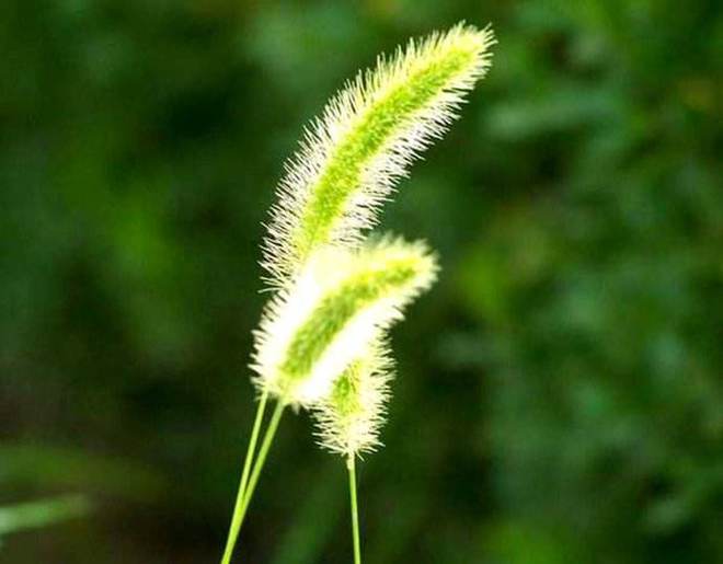 生死缘第六感电影_第六感生死缘_生死缘第六感女主角