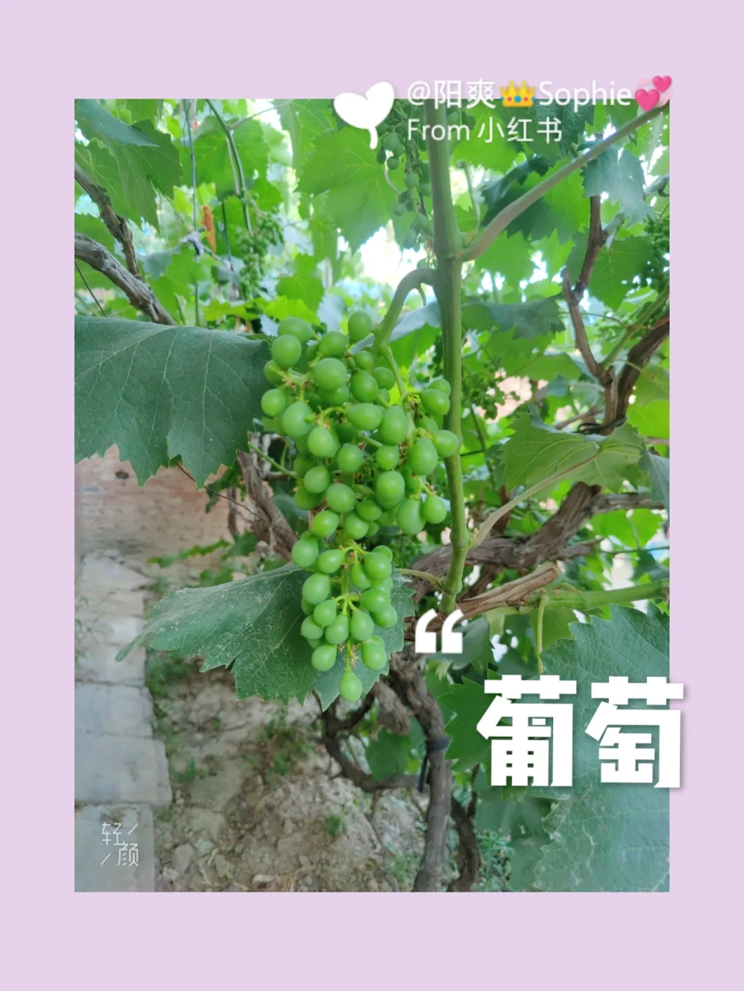 三点定位_定位点的位置如何操作_定位点英文