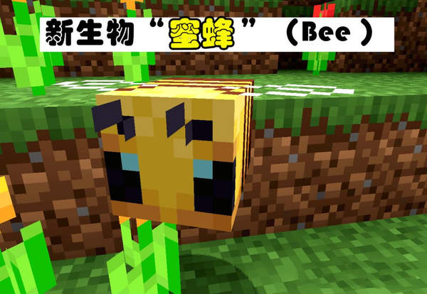 打蜜蜂手机游戏_单机游戏打蜜蜂_有一款打蜜蜂的游戏
