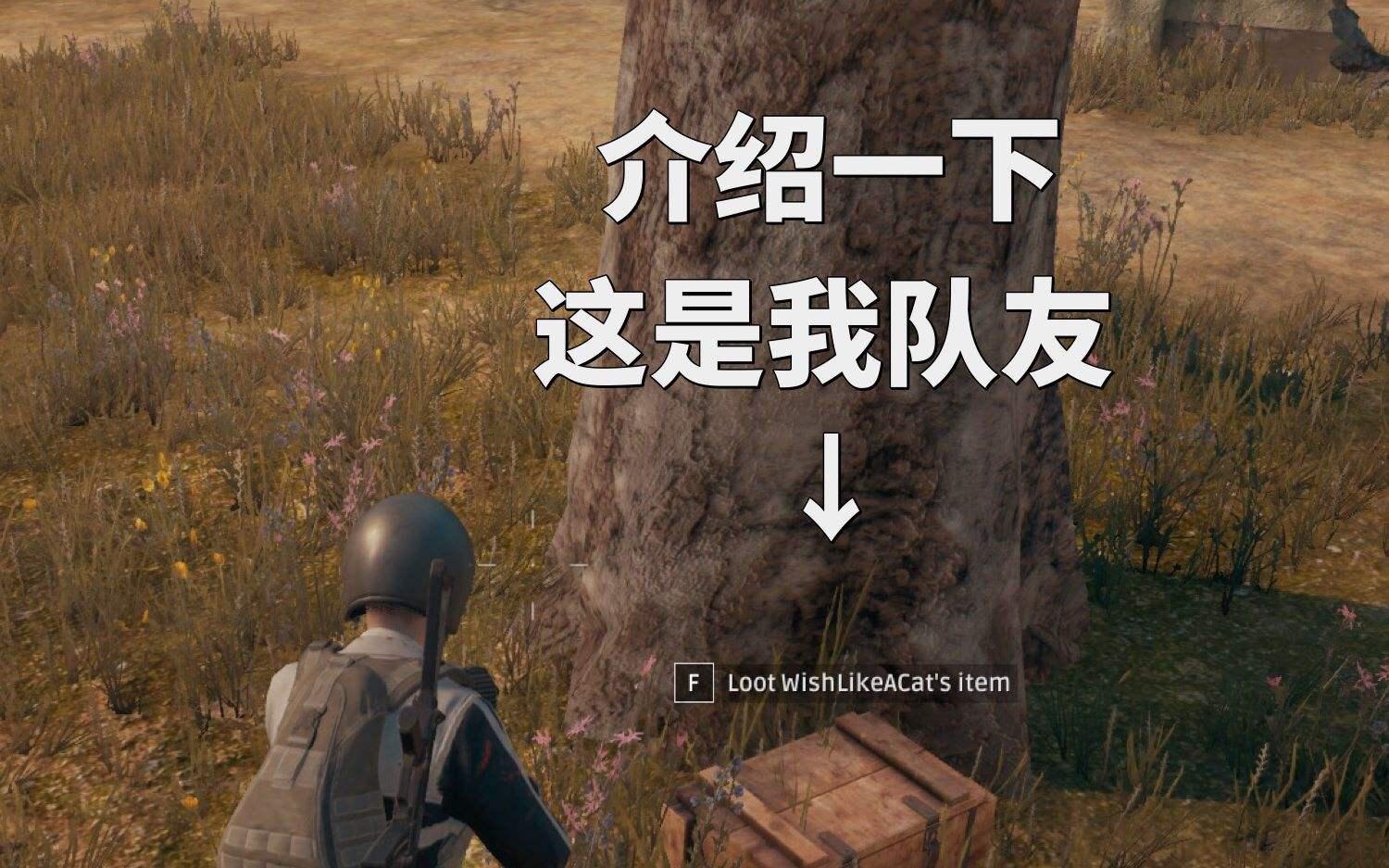 打开吃鸡的游戏_小鸡吃鸡游戏_吃鸡手机游戏怎么打开