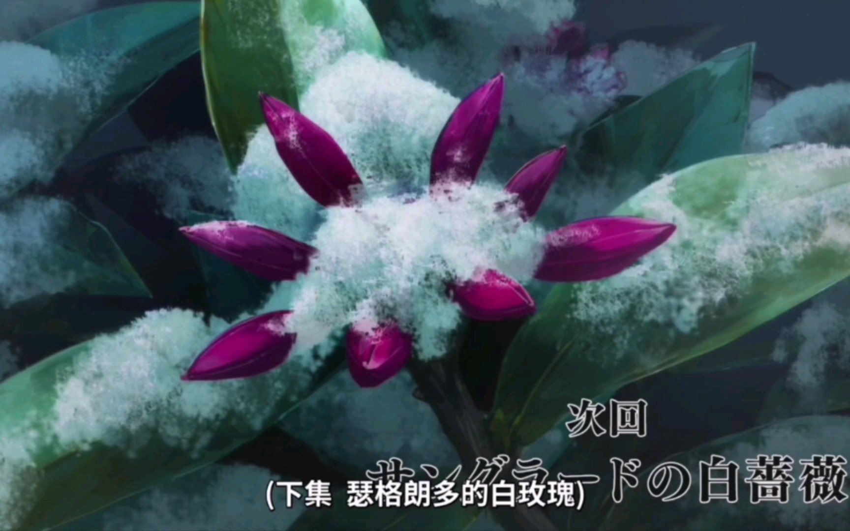 吸血鬼莱卡_月和莱卡和吸血鬼公主_月与莱卡与吸血公主