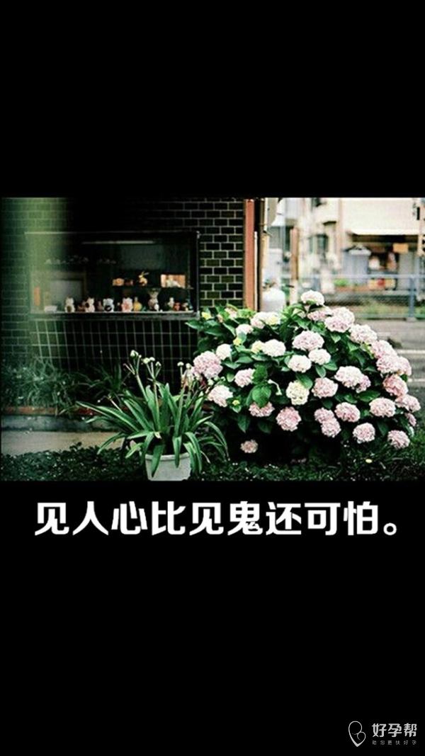 纯爱手机游戏有哪些_纯爱手机游戏_纯爱游戏的男主太幸运真的好吗