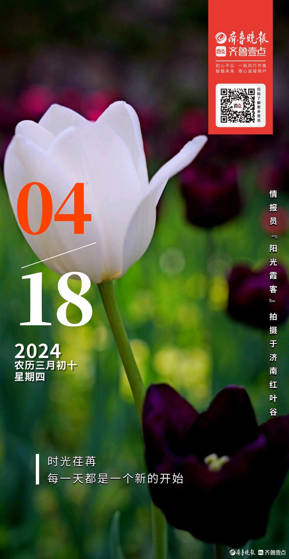 日历月是什么意思_20225月日历_日历月份牌