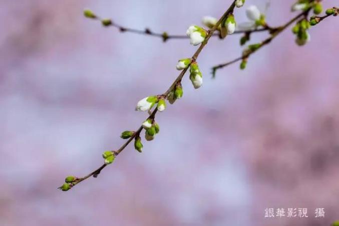 随乐游：一场心灵的放逐与情感的释放之旅