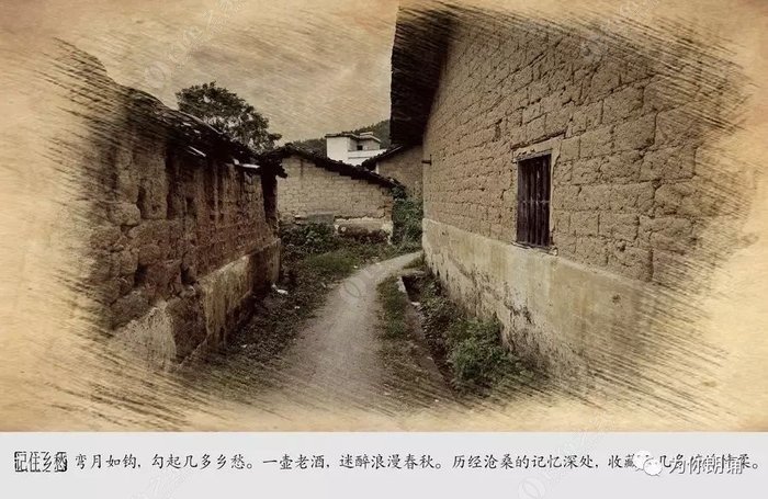 黄梅时节_黄梅时节打一个字_时节黄梅雨