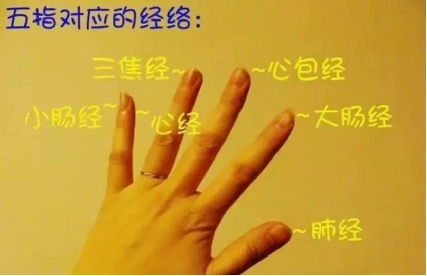 开户籍的软件_免费开户籍软件_开户籍什么意思网络用语