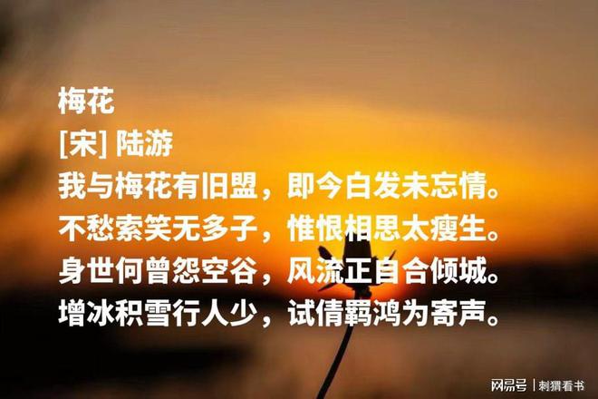 西宫月txt_西宫美月_美月优芽雫月こと