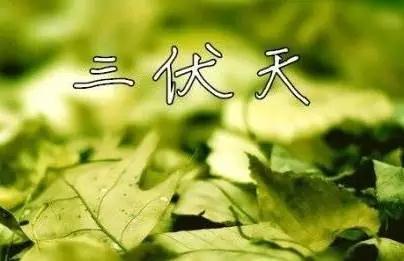 三伏具体是哪天_三伏天时间是哪天_三伏天具体时间