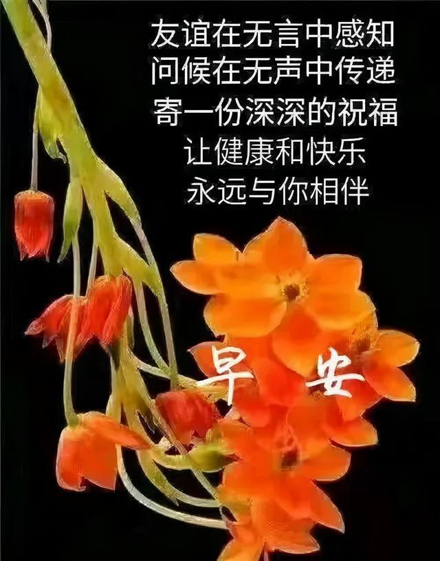 友谊爱情的诗句_爱情与友谊_友谊爱情合并的文案