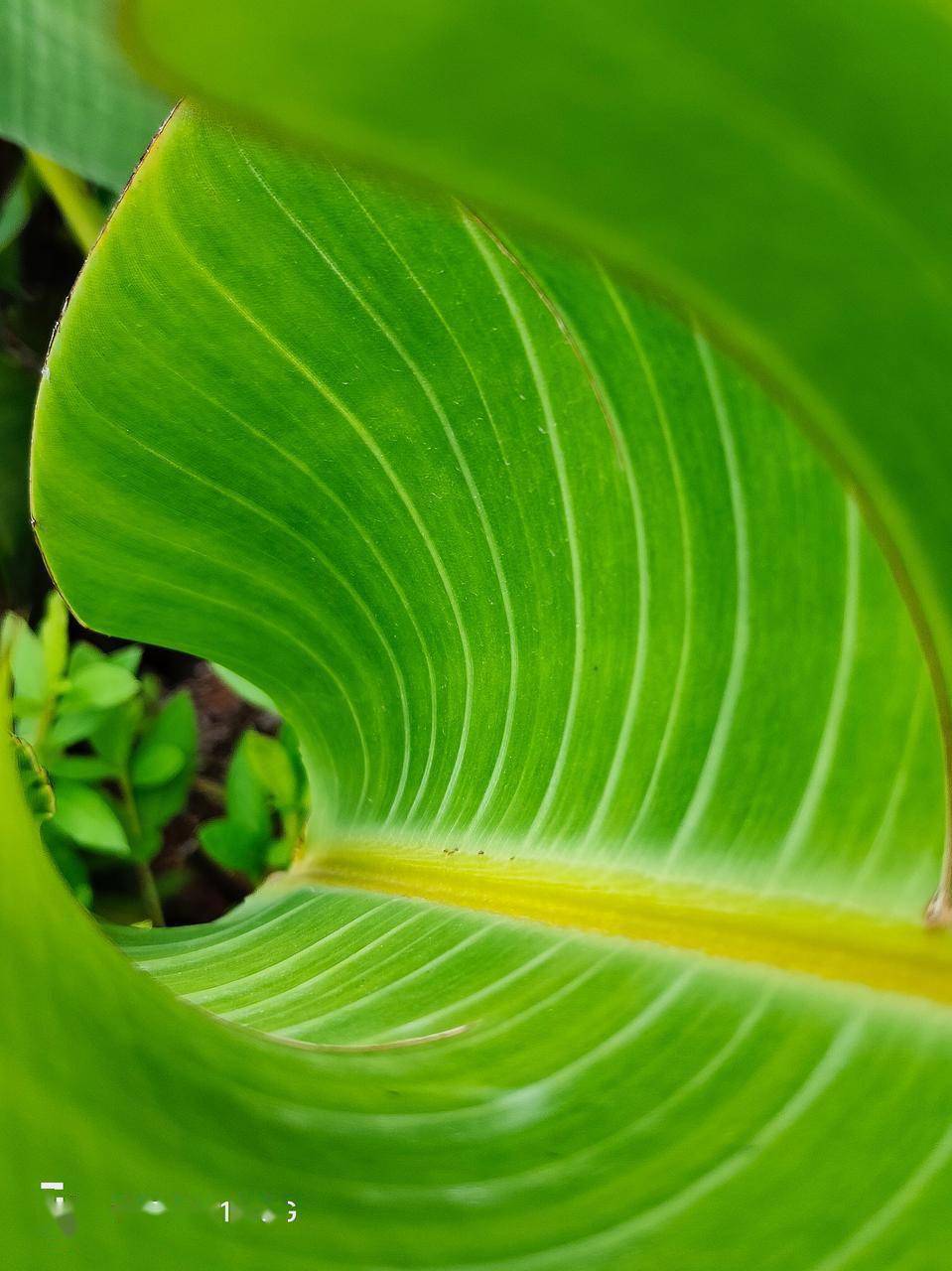 大壮手机游戏怎么玩_大壮游戏手机_大壮游戏控