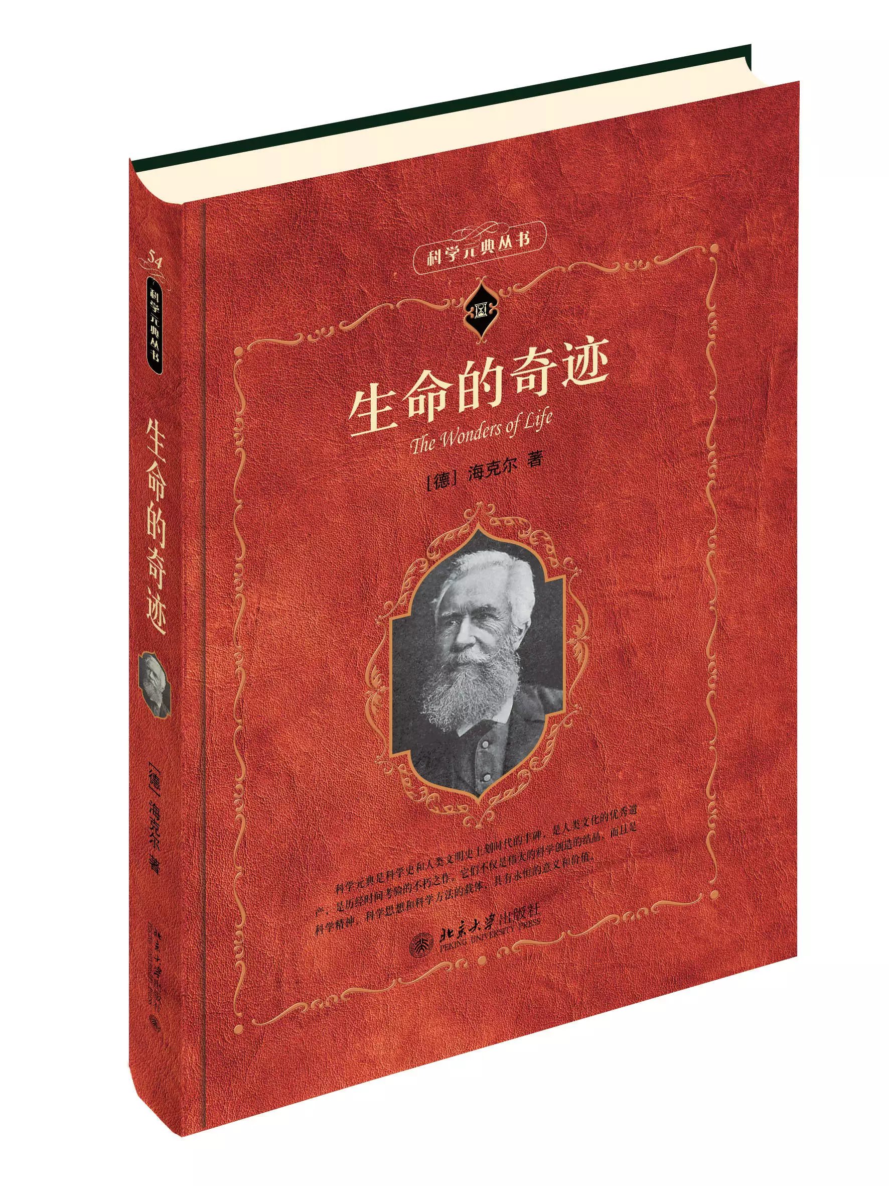 枯萎世界与终结之花_枯萎的花终会找到他的归属_永不枯萎的世界与终结之花