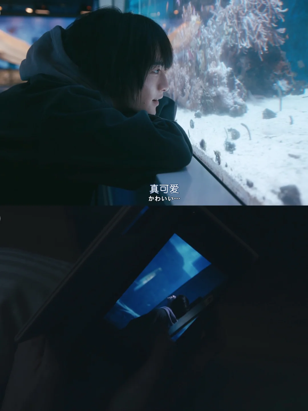 奔流不息手机游戏_奔流不息里的息是什么意思_奔流不息中的息字是什么意思