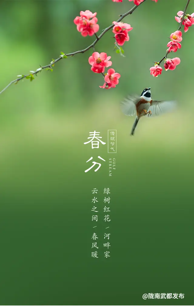 2023年春分_2023年的春分是几月几号_2023年几个春