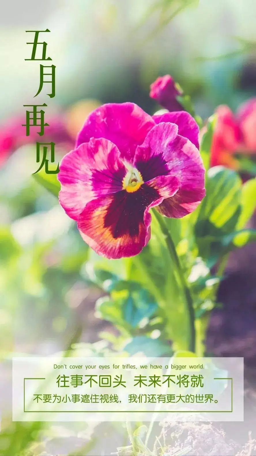 6月11_月经_月经不来是什么原因