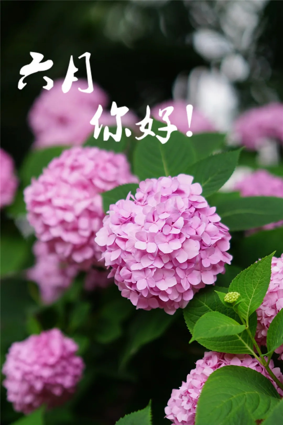 6月11_月经_月经不来是什么原因