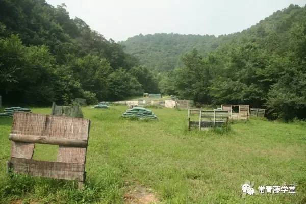 惰性淋巴瘤_惰性法则空菊_惰性acg
