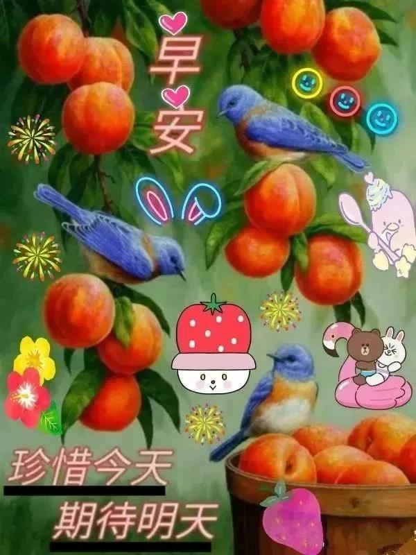 惰性法则空菊_惰性acg_惰性淋巴瘤