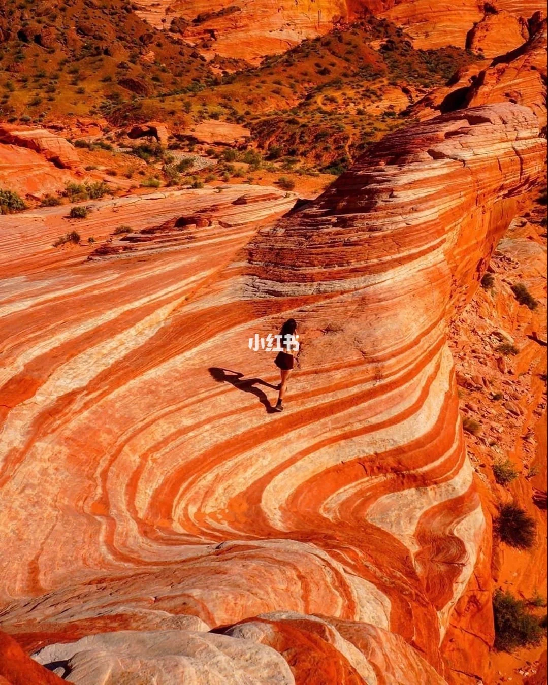 战争地狱游戏_地狱战略手机游戏_地狱战略手机游戏推荐