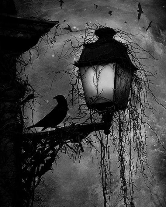 方舟魅族手机游戏_魅族方舟手机游戏怎么玩_魅族游戏中心客户端