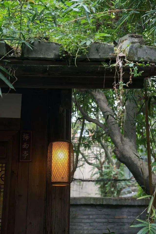 由莉_莉可丽丝_夏莉莉夏