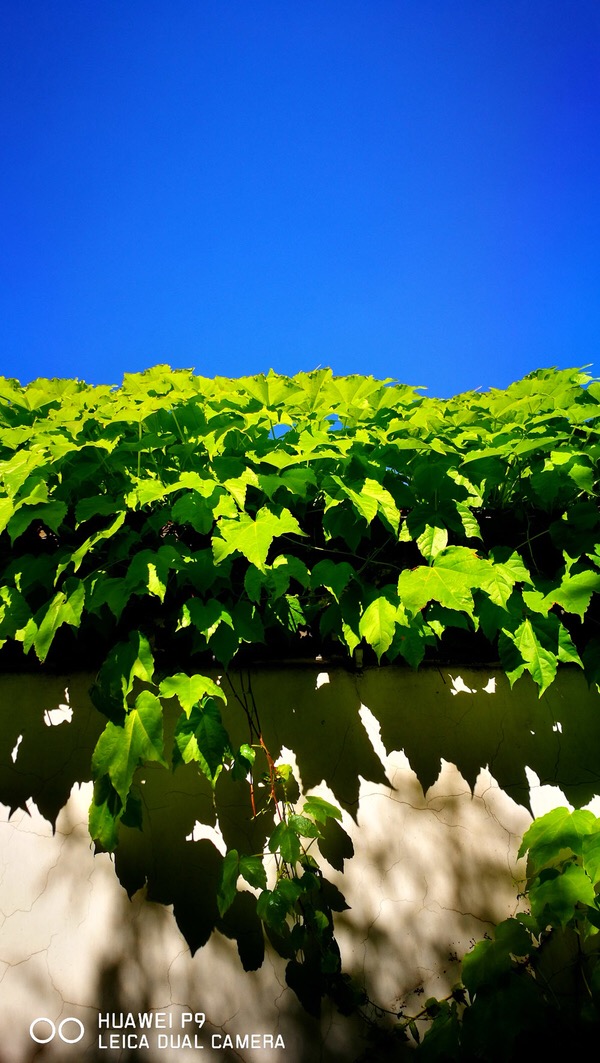 手机游戏捕鱼_手机游戏平台_jelly belly手机游戏