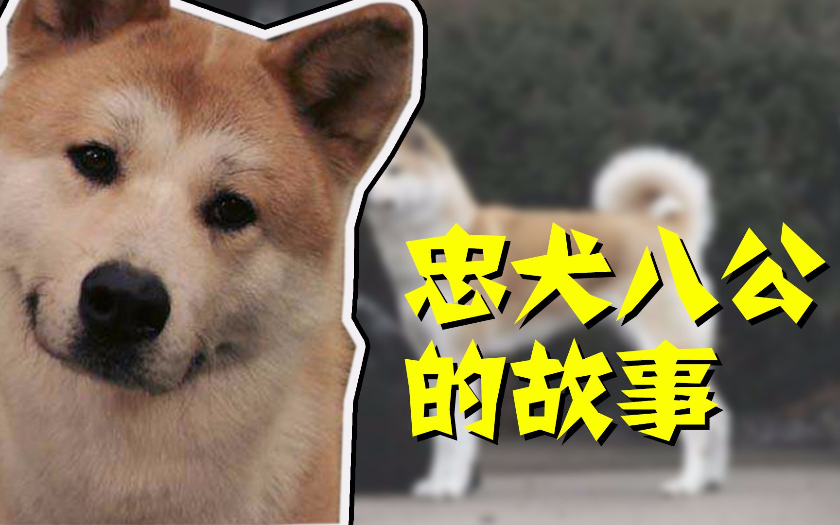 忠犬八公免费观看完整版_观看在线播放免费忠犬八公电影_忠犬八公免费播放在线观看