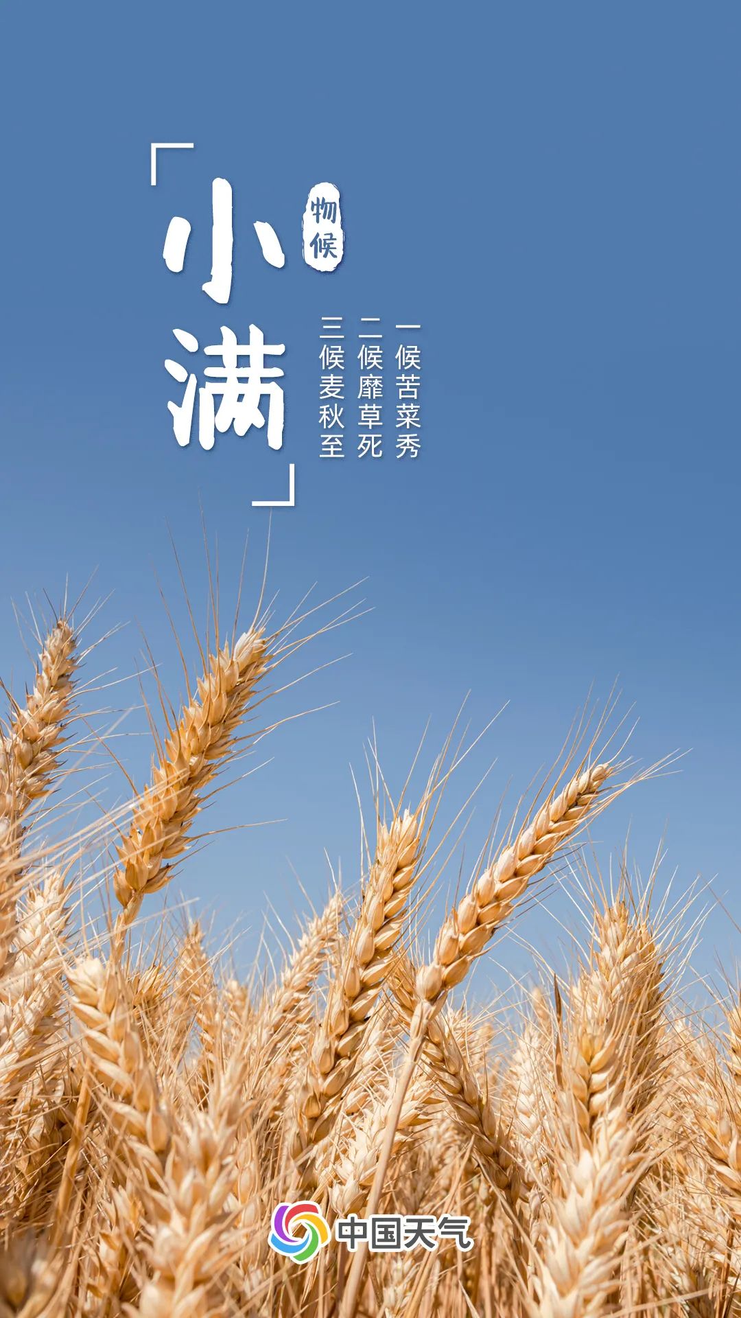 2024年什么时候小满_小满三候_候小满程夏的侄子