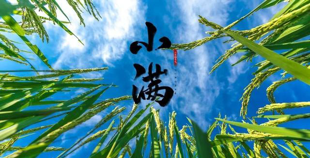 2024年什么时候小满_候小满程夏的侄子_小满三候
