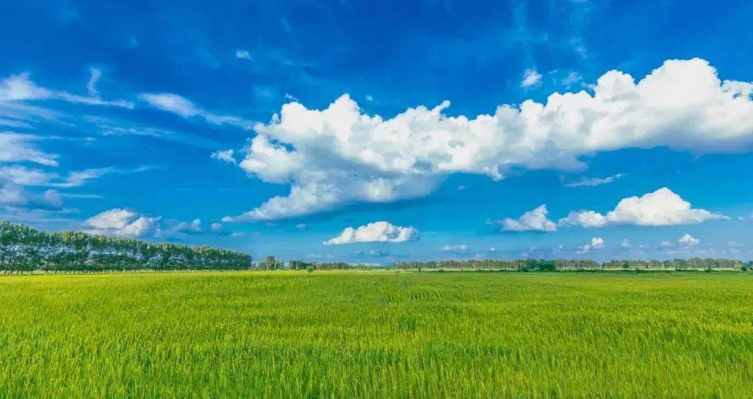 2024年什么时候小满_小满三候_候小满程夏的侄子