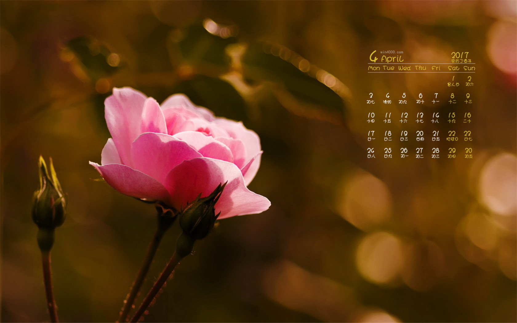 2029年日历_一个日历年_日历年什么意思