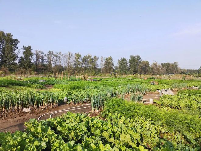 步枪射击游戏_比较好玩的步枪游戏手机版_好玩的步枪