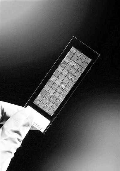 吉林炔开奖号_吉林快3开奖记录_吉林福彩开奖号码