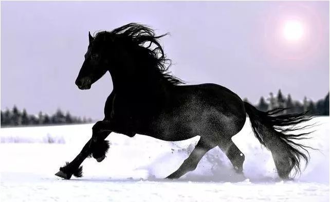 吉林快3开奖记录_吉林福彩开奖号码_吉林炔开奖号