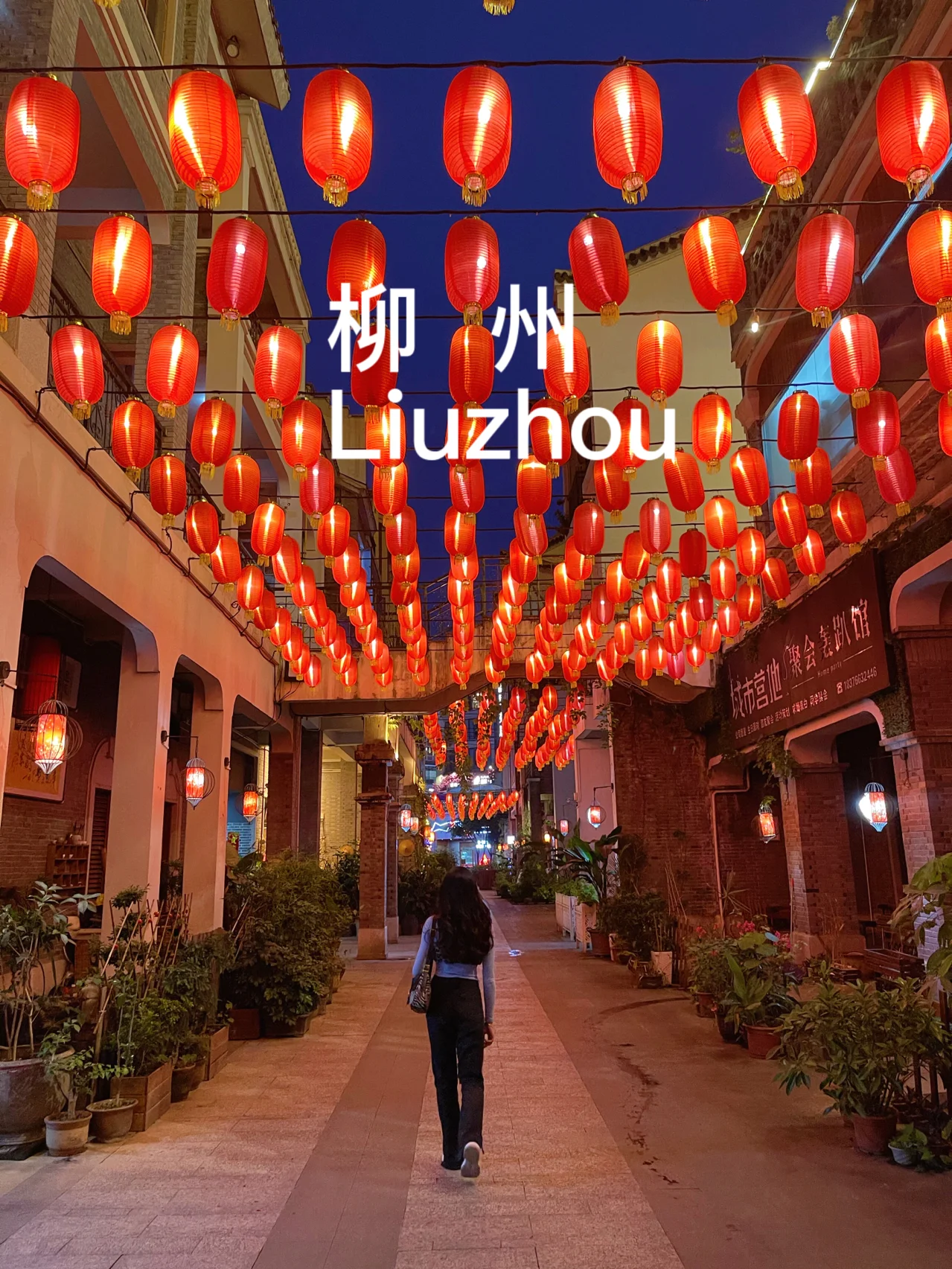 叶冰瑶_叶冰瑶_叶冰瑶