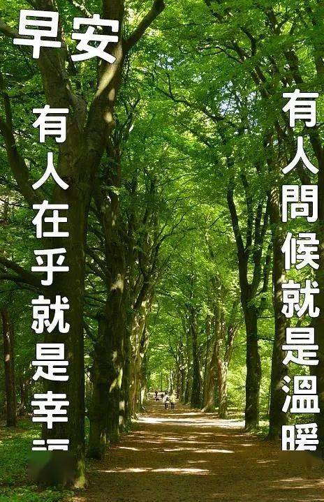 神崎美月_神崎美月的发型怎么舒_神崎美月第二季出场集数