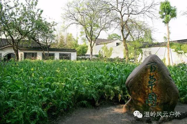 神崎美月的发型怎么舒_神崎美月_神崎美月第二季出场集数