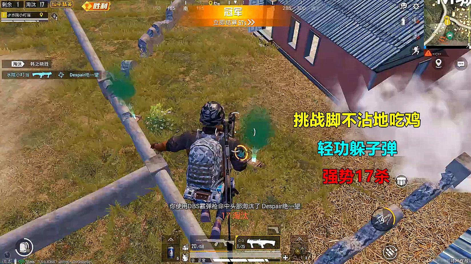 吃鸡游戏视频下载手机版_鸡叨食视频_鸡吃食视频大全