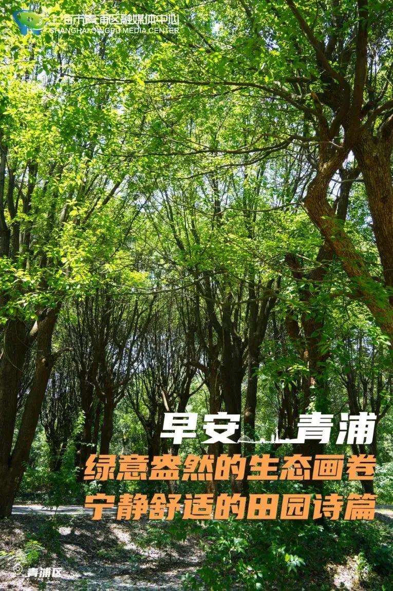 孟艺_艺孟玲_艺孟周