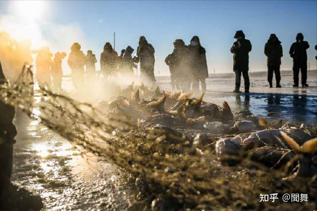 查经营手机游戏的网站_手机游戏经营_查手机游戏经营