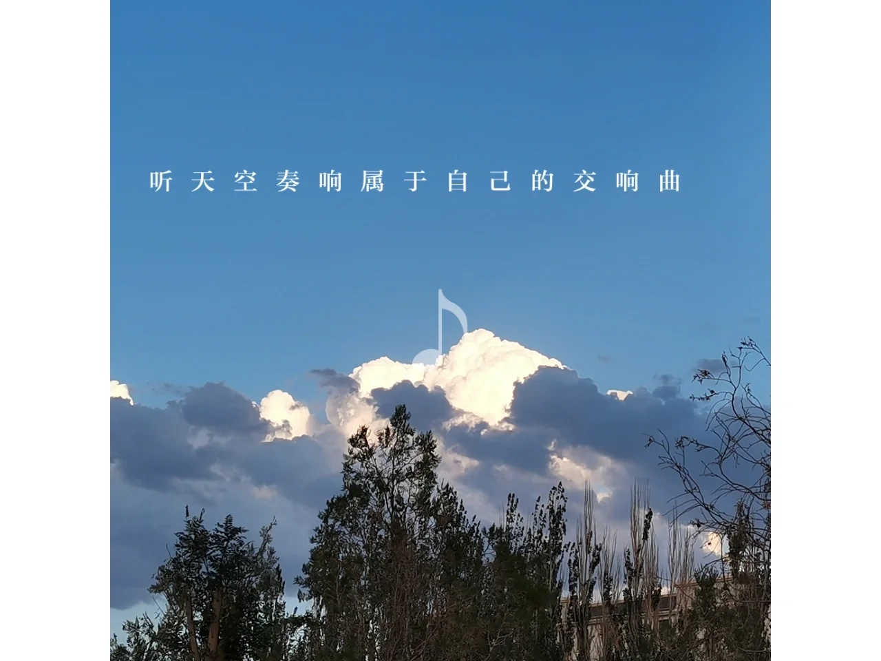 b站的弹幕高能满屏弹幕_捏他弹幕_弹幕说什么