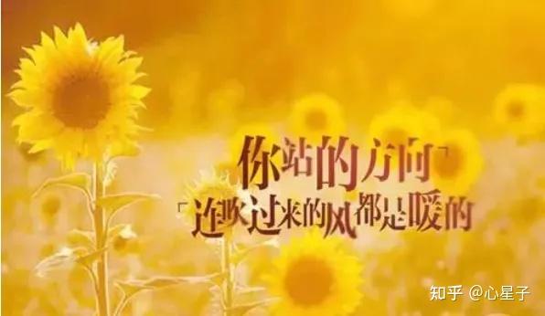榎本恵作品番号名_榎本恵作品集_榎本恵