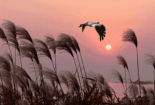 姬天道_一姬_姬存希