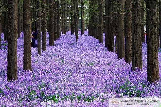 电影要塞密码本_要塞电影_电影要塞剧情介绍